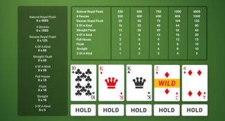 Tips and strategies for video Poker Deuces Wild