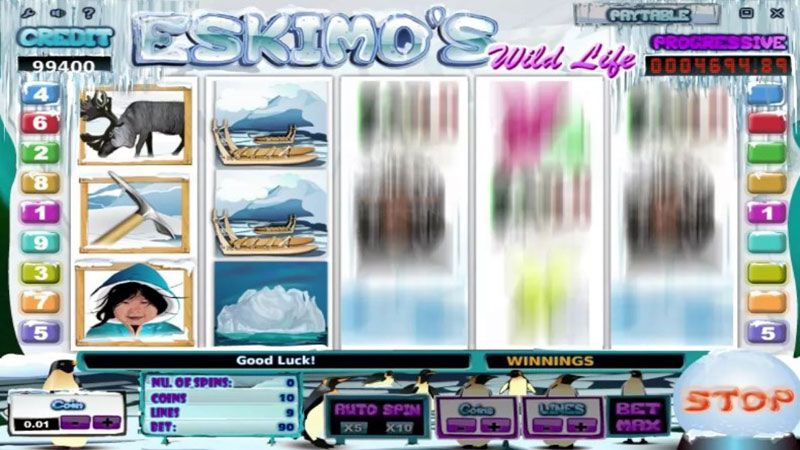 Eskimo's Wild Life Slot