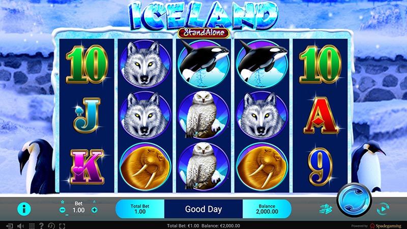 Online Slots games to play this winter ▷ Blog video preview