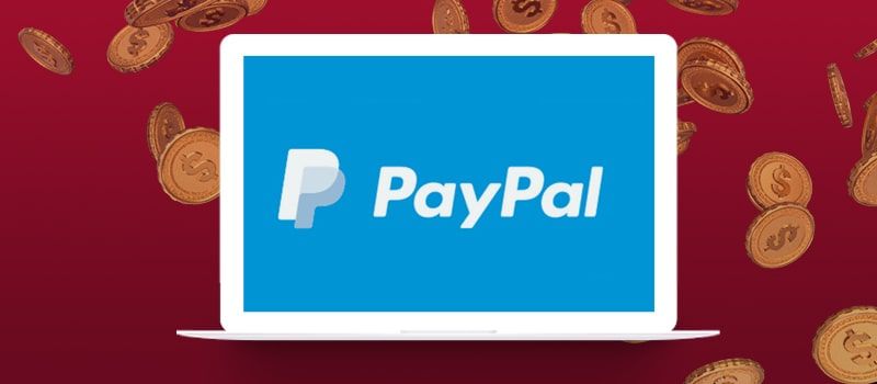 PayPal payment system-custom logo