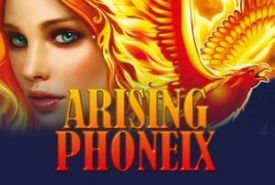 Arising Phoenix Review