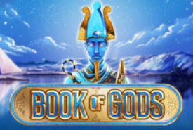 Book Of Gods review