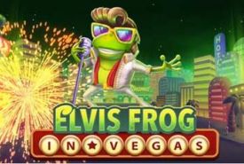 Elvis Frog in Vegas Review