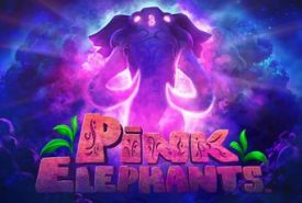 Pink Elephants Review