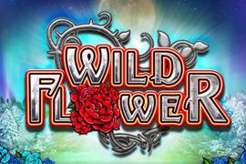 Wild Flower, an Online slot from Big Time Gaming