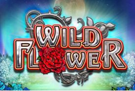 Wild Flower Review