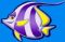 Whitefish-purple