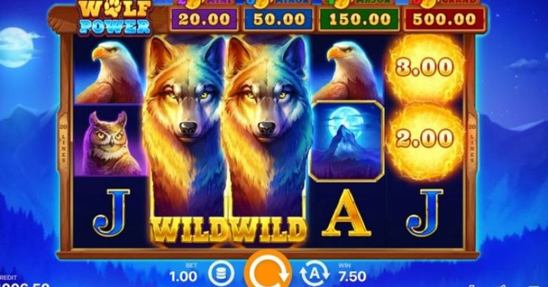Play Wolf Power: Hold and Win, an online slot from Playson slot online for free | Casino New Zealand