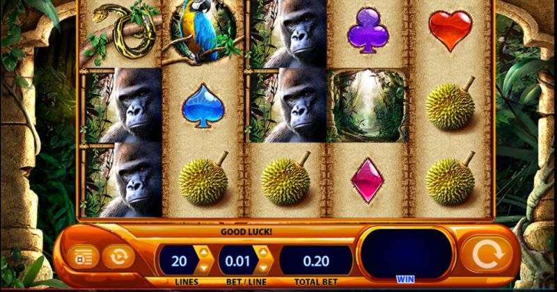 Play Amazon Queen, an online slot from WMS slot online for free | Casino New Zealand