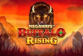 Buffalo Rising Megaways Review