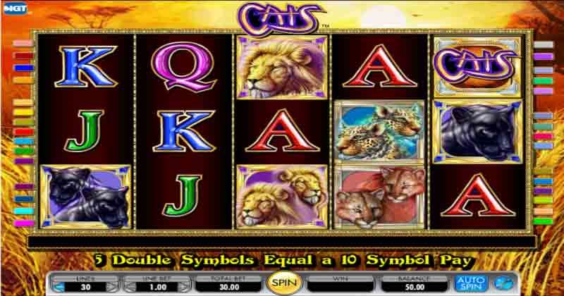 Play cats, an online slot from IGT slot online for free | Casino New Zealand