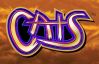 Cats-picture