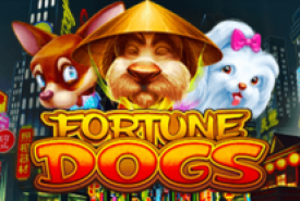 Fortune Dogs Review