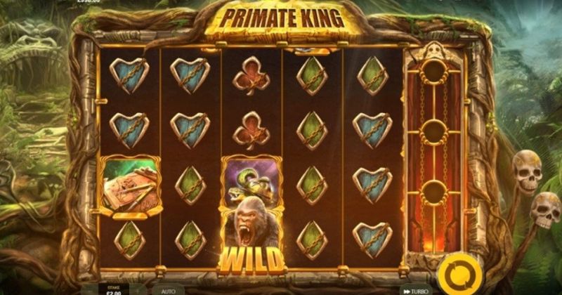 Play Primate King: Online slot from Red Tiger slot online for free | Casino New Zealand