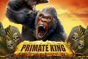 Primate King Online slot
