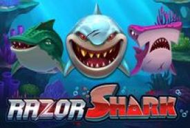 Razor Shark Review