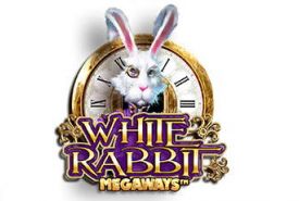 White Rabbit Review