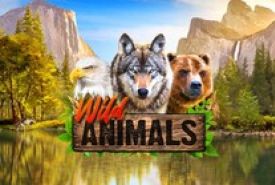 Wild Animals Review