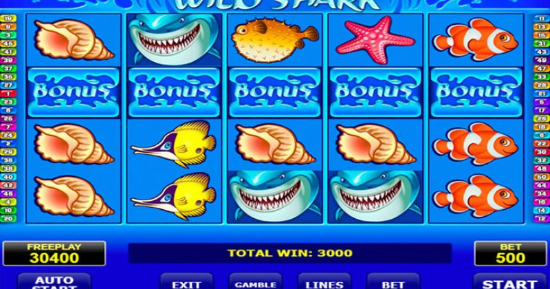 Play Wild Shark, a slot from Amatic slot online for free | Casino New Zealand